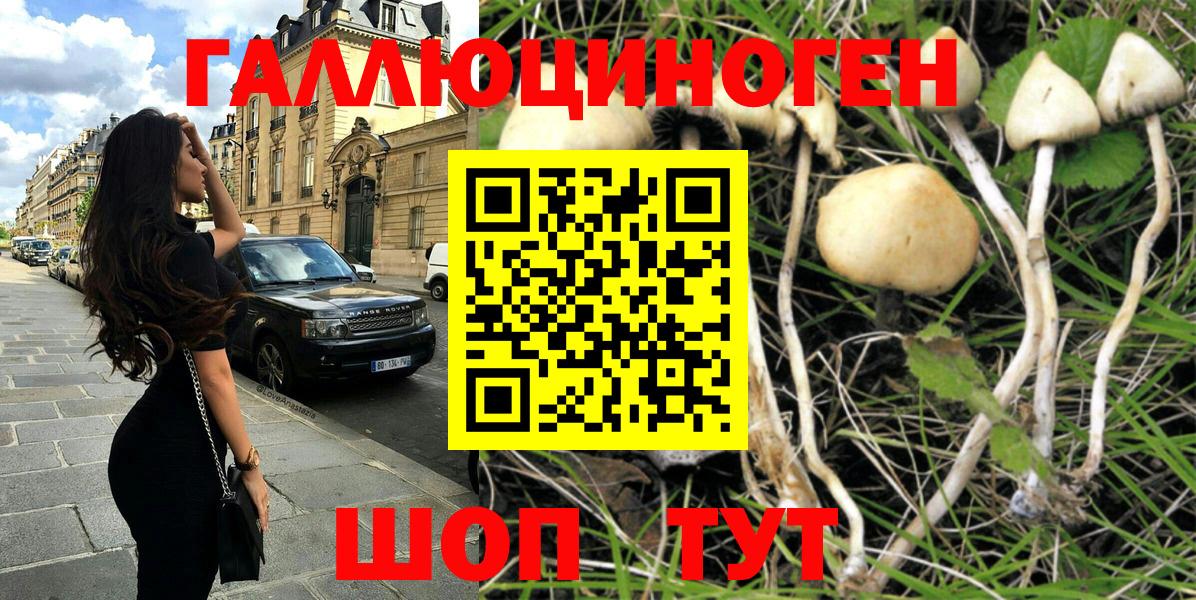 Псилоцибиновые грибы MAGIC MUSHROOMS  Вход с VPN  закладки  Псилоцибиновые грибы мухоморы  Щёлково 