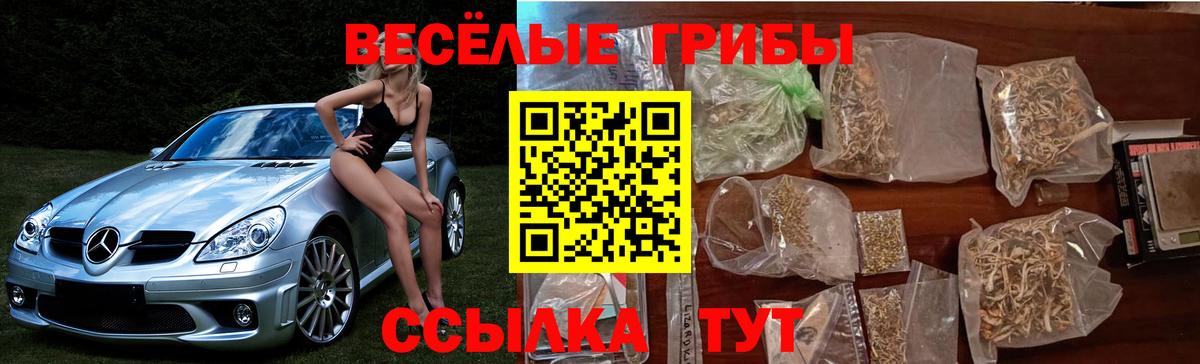 Псилоцибиновые грибы прущие грибы Щёлково